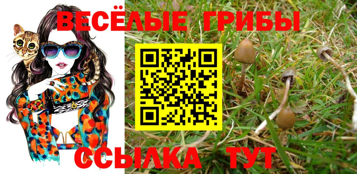 Наркошоп  Бошки Шишки  Кокаин  Альфа ПВП СК   Гашиш  Вход с VPN  Зерноград  Мефедрон кристаллы  Лсд 25 