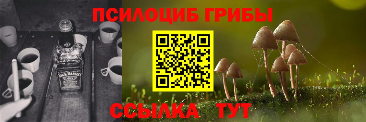 Псилоцибиновые грибы GOLDEN TEACHER Зерноград